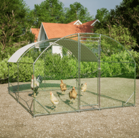 10x13 Foot Dome Chicken Coop