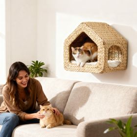 Pet Furniture