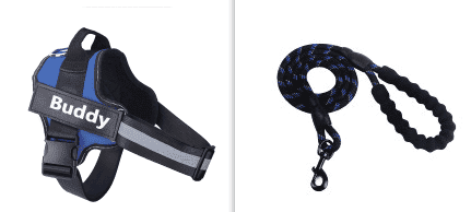 Fashion Simple Pet Leash Chest Strap Set (Option: Blue-L)